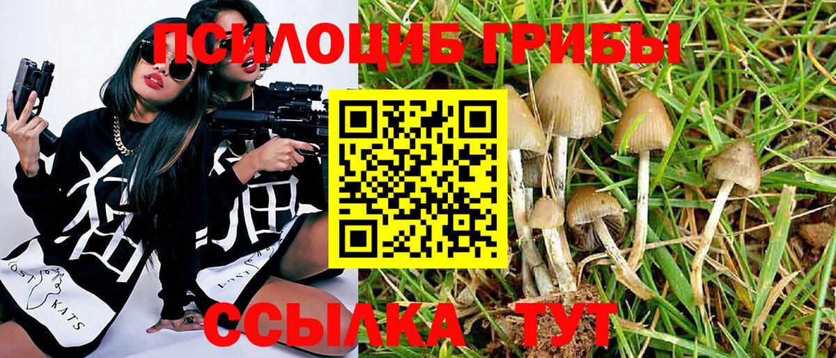 Псилоцибиновые грибы Magic Shrooms  Вход с VPN  Верхняя Пышма  Галлюциногенные грибы мухоморы 